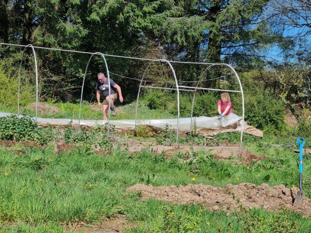 Picture of Polytunnel removal on work day. We will be creating the new gathering space in this area.